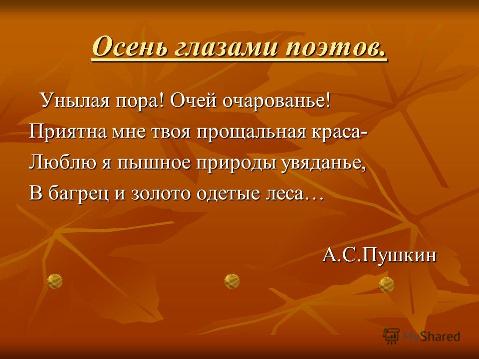 Плюсы осени. Пословицы про осень. Пословицы про осень 4 класс. Пословицы про осень 2 класс. Поговорки про осень 2.