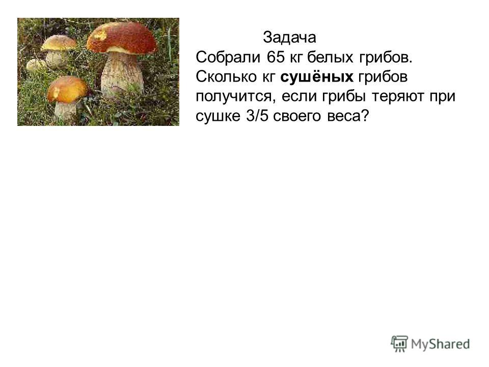 Задача про грибы. Стих про белый гриб. Проект про белый гриб. Предложение на тему грибы.