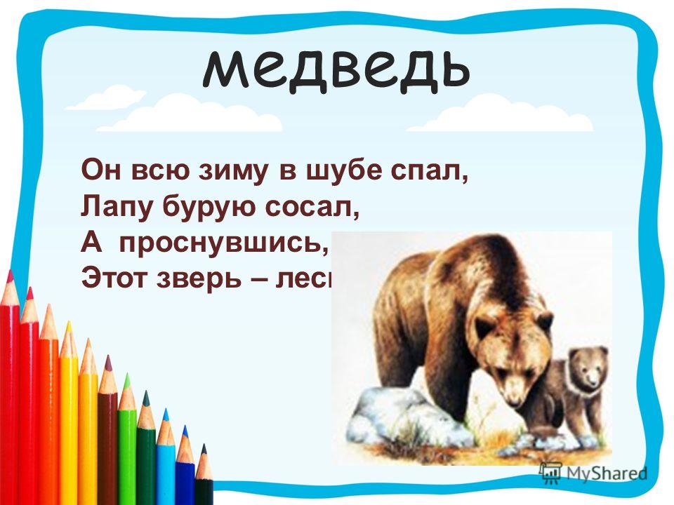 Разбор слова медведь