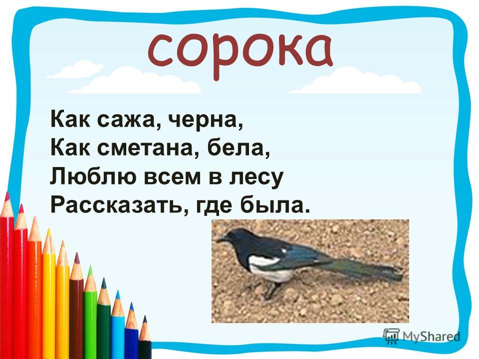 Схема к слову сорока