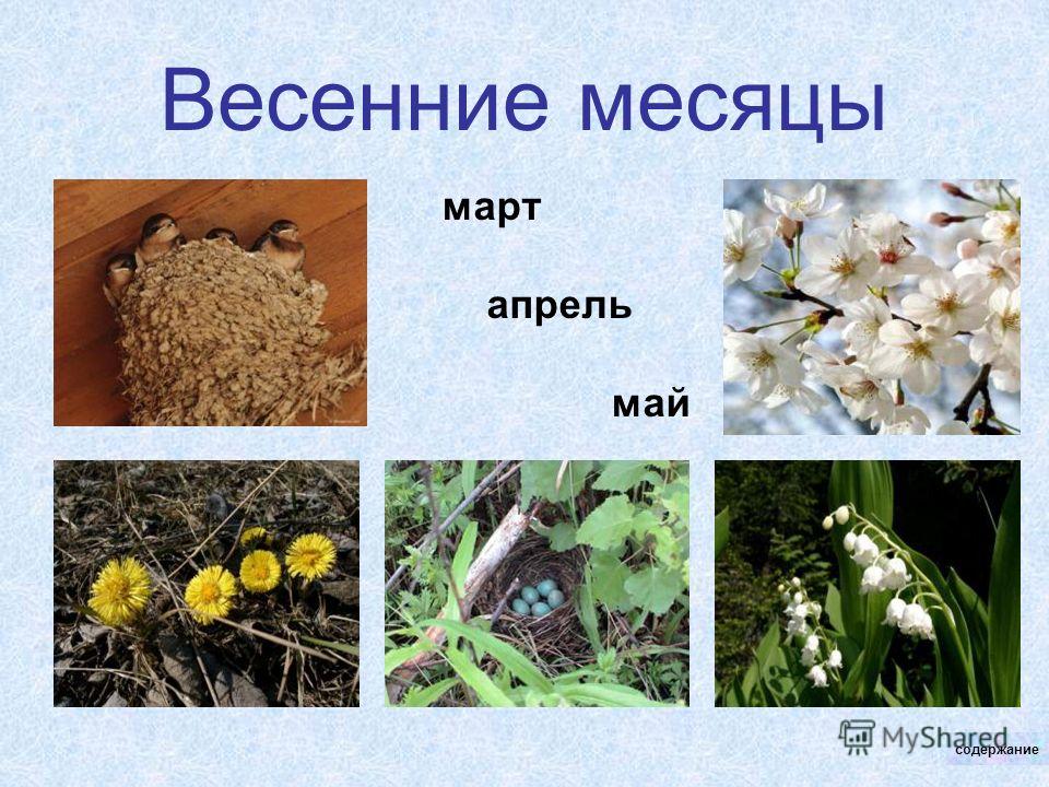 Месяцы весны. Весенние месяцы. Март апрель май весенние месяцы. Весенний месяц март. Апрель весенний месяц.