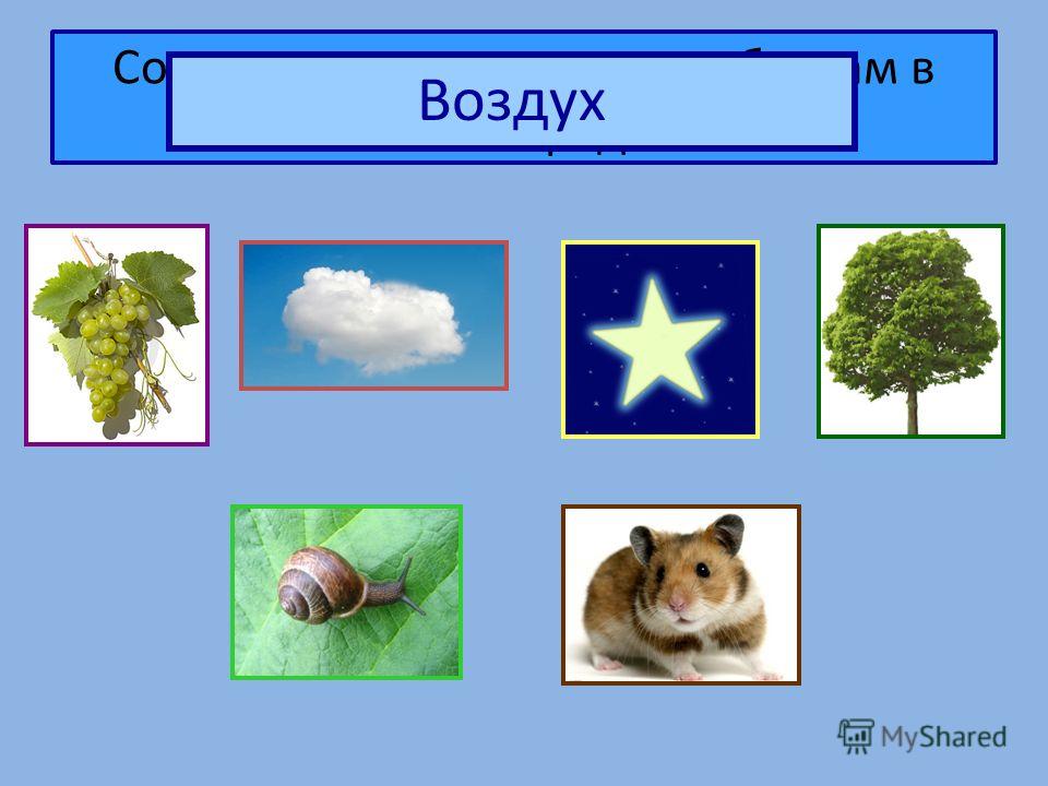 Изображение неживых предметов в виде живых существ