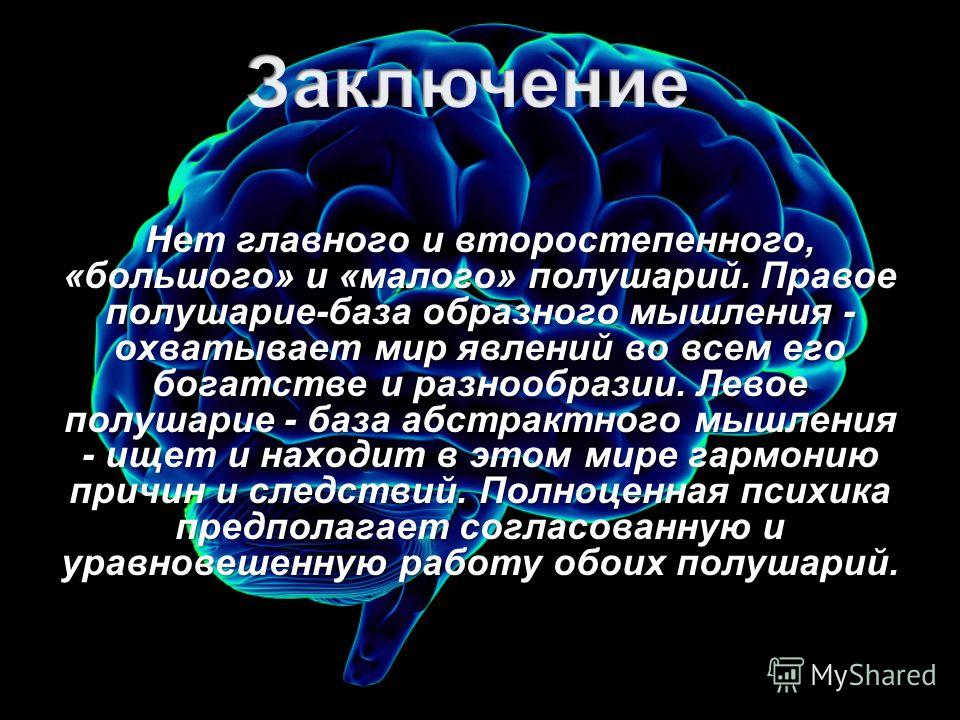 Левое и правое полушарие презентация