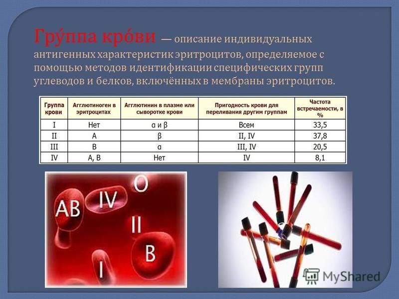 Эритроцитарные группы крови. Описание индивидуальных антигенных характеристик эритроцитов. Группы крови описание. Группы крови эритроциты. Белки эритроцитов определяющие группу крови.