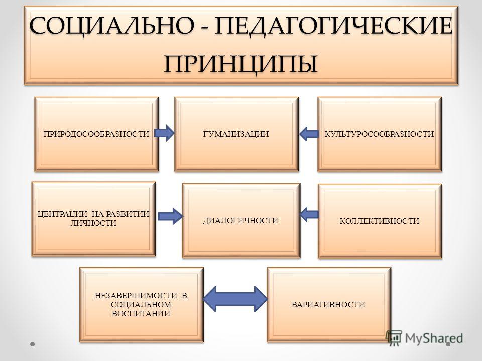 Формирование социальной работы. Принципы соц педагогики. Основные принципы пед работы. 1. Принципы социальной педагогики?. Основной принцип педагогики.