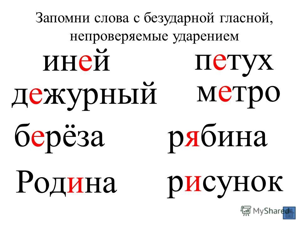 Безударные словарные слова. Слова с безударной гласной. Слава с безударной гласной. Слова с безударными гласными. Безударный гласный слова.