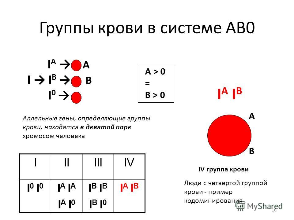 Характеристика аллельных генов