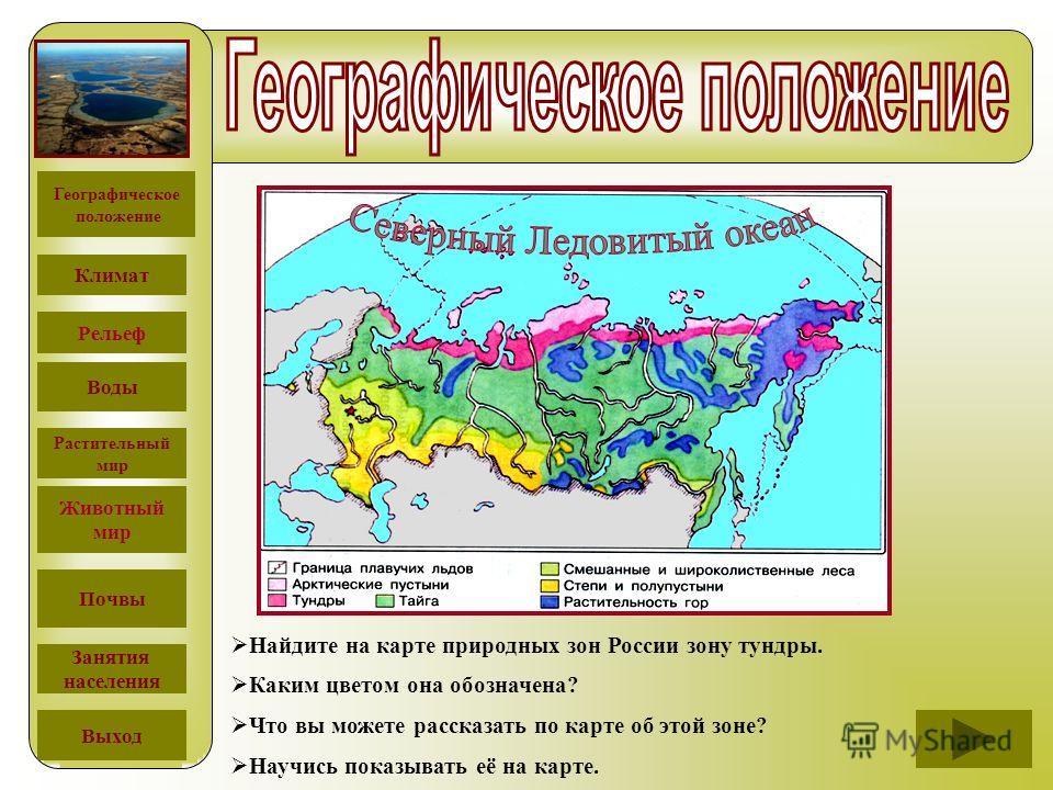 Карта природных зон тундра тайга. Тундра на карте природных зон. Зона тундры на карте России. Природная зона тундра географическое положение на карте.