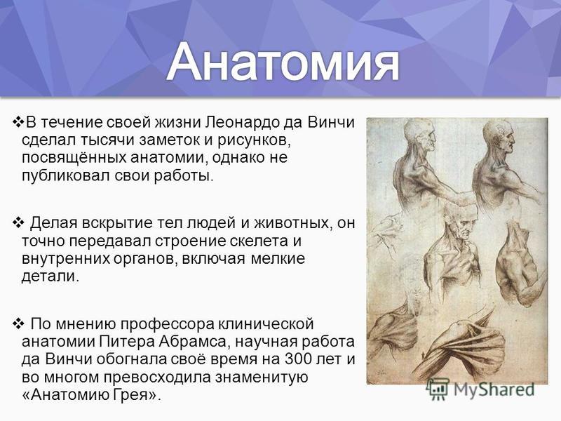 Леонардо да винчи знакомства анкеты. Леонардо да Винчи вклад в анатомию. Леонардо да Винчи анатомия презентация. Леонардо да Винчи вклад в медицину. Что сделал Леонардо да Винчи.