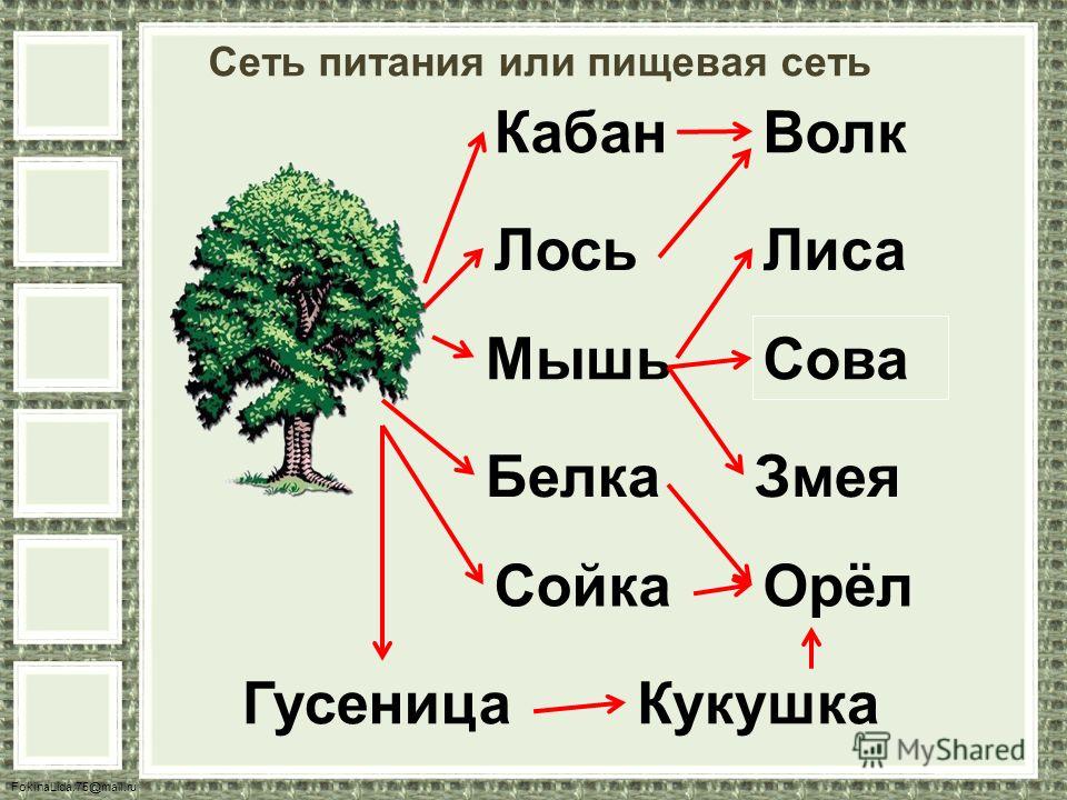 План урока по окружающему миру 3 класс