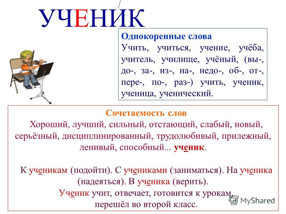 Какие слова учить