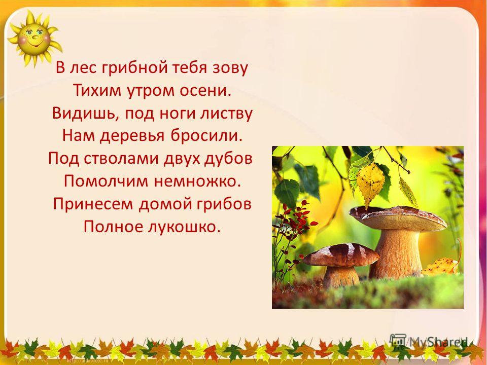 Стих грибы. В лес грибной тебя зову тихим утром осени. Грибной лес стих. Стихи про осенние грибы. Стихотворение про осенний гриб.