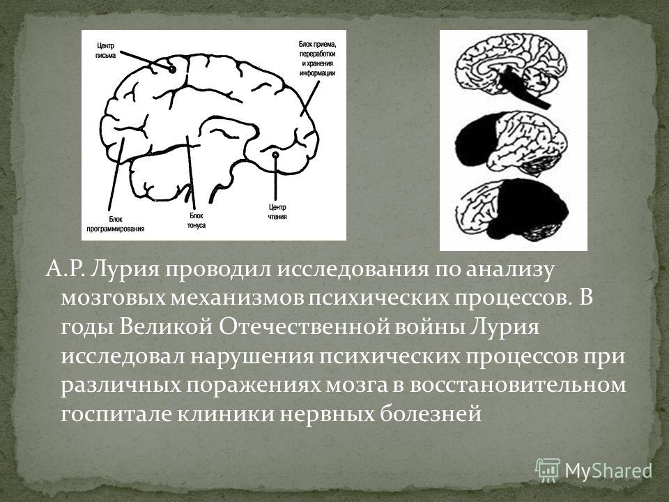 Анализ мозга. Лурия нейропсихология блоки мозга. Лурия Александр Романович нейропсихология. Александр Лурия - карта мозга. Лурия а р нейропсихология памяти.