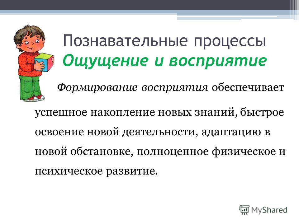 Познавательная сфера подросткового возраста. Познавательные процессы ощущение. Познавательные процессы ощущение и восприятие. Познавательные процессы презентация. Познавательные психологические процессы ощущение.