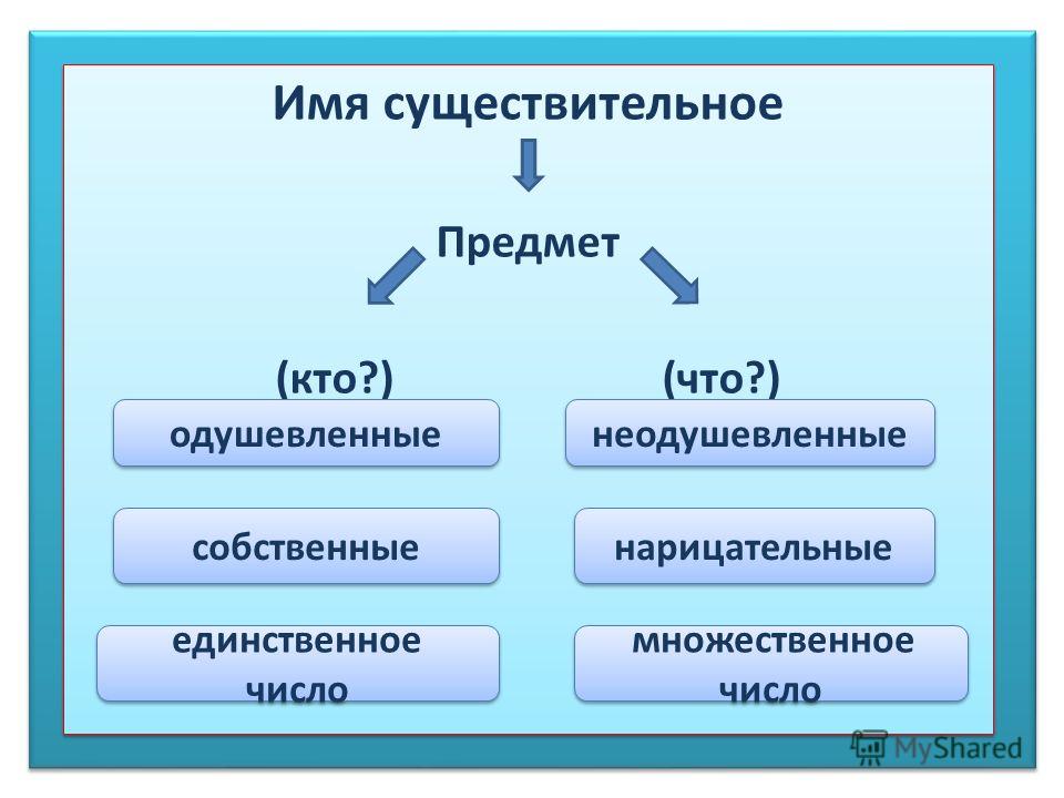 Существительное в русском языке 2 класс