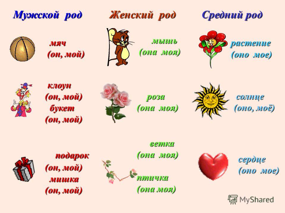 Роды в русском языке. Мужской женскийспедний род. Женский род. Мужской женский средний род. Мужской род женский род средний род.