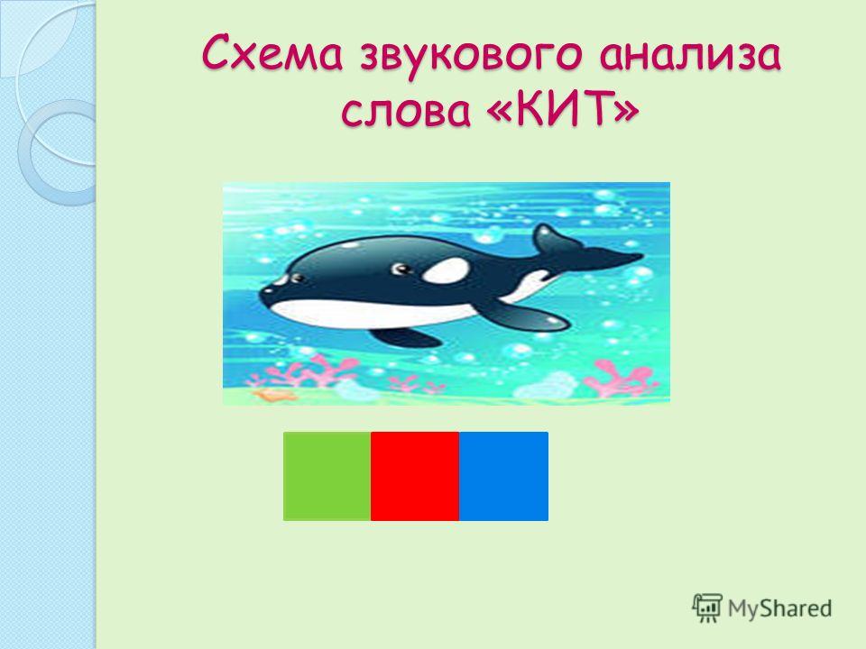 Разбор слова кот. Звуковой анализ слова кит. Схема слова кит. Кит звуковая схема. Звуковой анализ слов кот и кит.