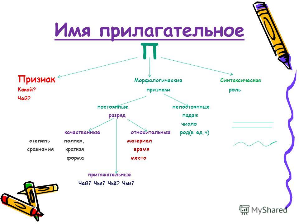 Прилагательное морфологические признаки. Имя прилагательное признаки.