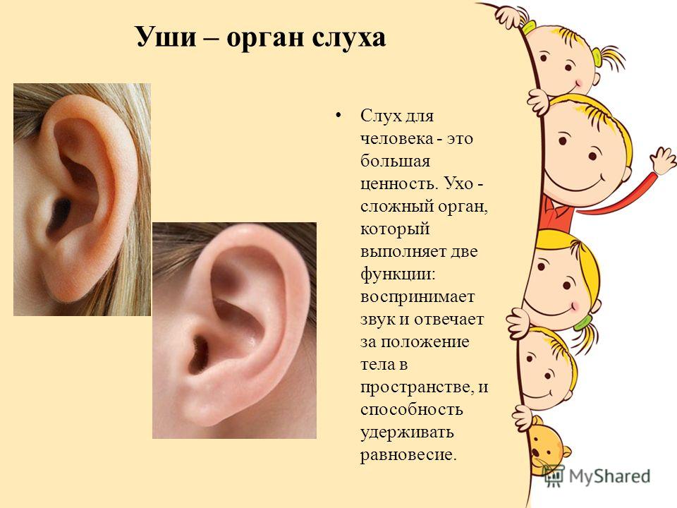 Почему назвали уха. Уши орган слуха 3 класс окружающий мир. Слух орган слуха 4 класс окружающий мир. Презентация на тему органы слуха.