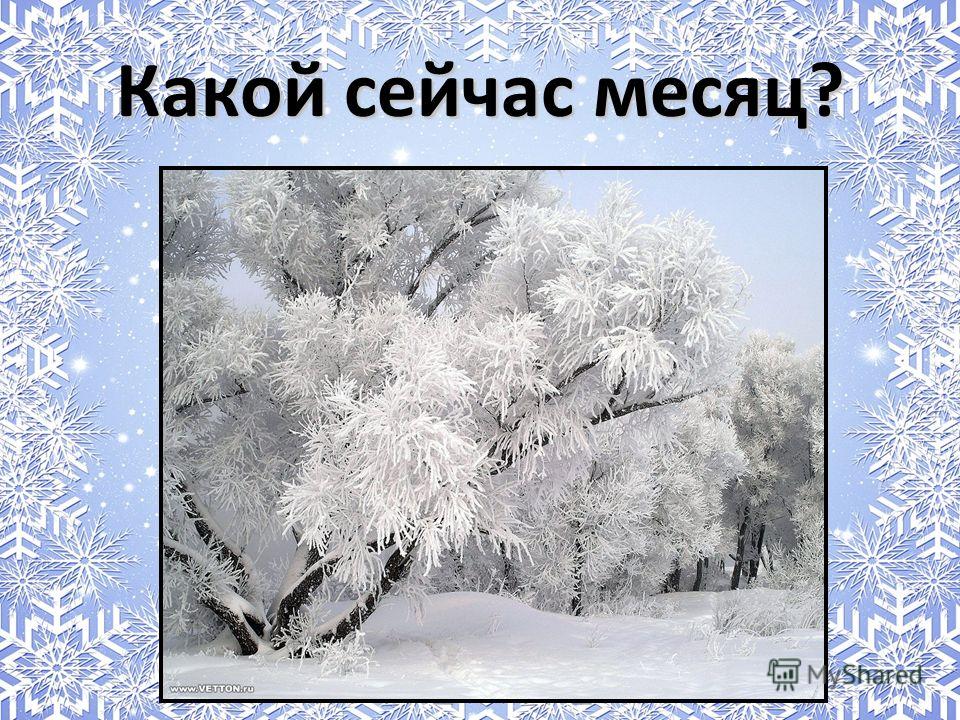 Зимние месяцы тысячи семисот. Презентация зимние месяцы. Зима декабрь январь февраль. Месяц январь. Декабрь месяц.