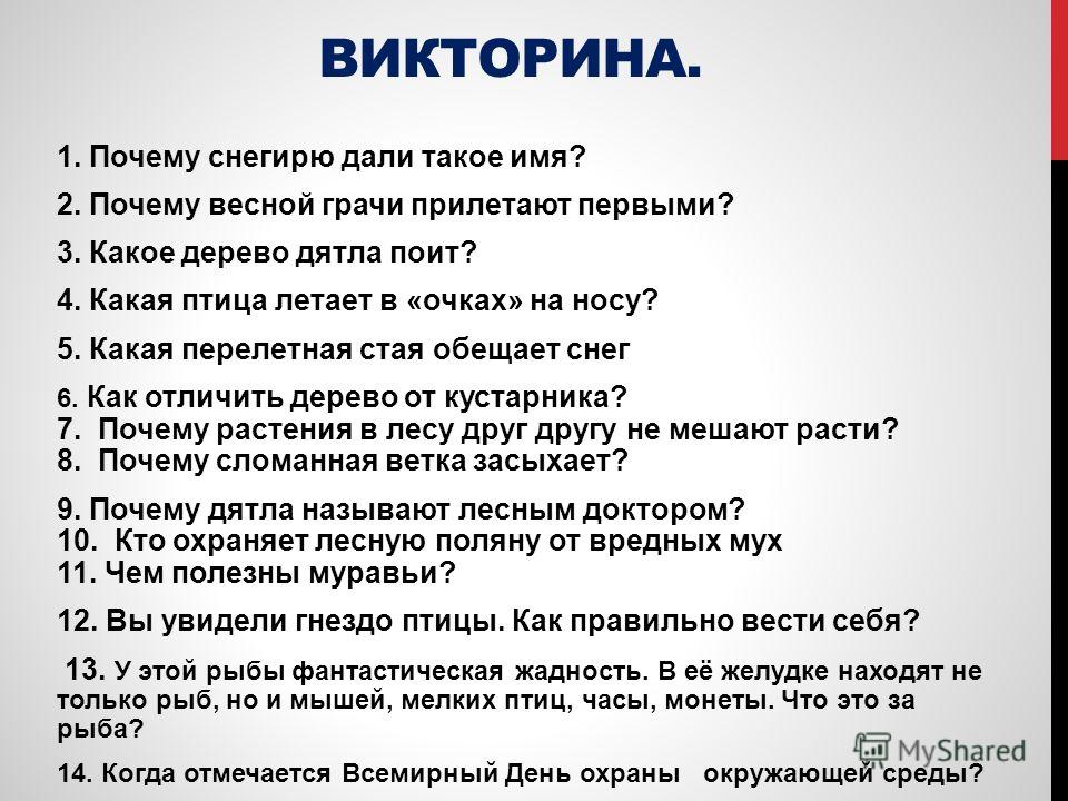 Вопросы отвечающему на проекте. Викторина для детей. Викторина с ответами. Вопросы для детей.