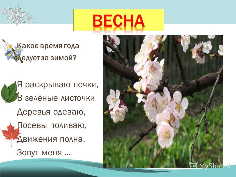 Весенние загадки с картинками