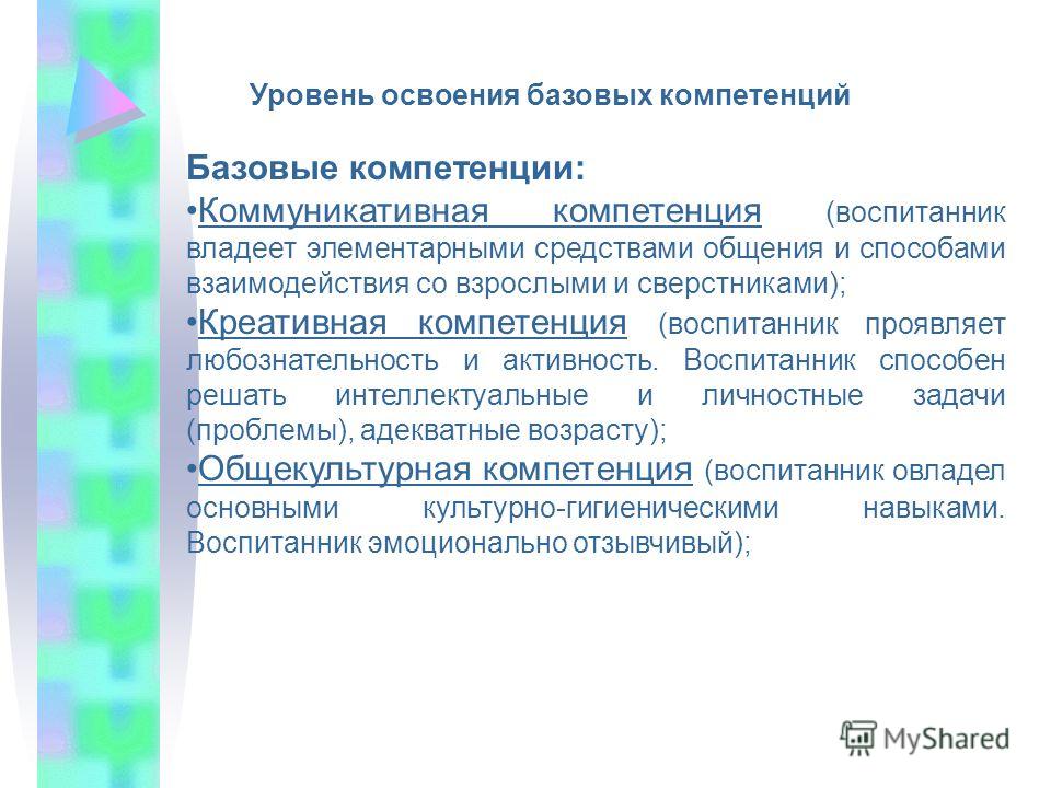 Уровни овладения навыками. Уровень овладения компетенциями. Базовый уровень освоения это. Уровень освоения общих компетенций. Степень владения элементарными средствами общения.