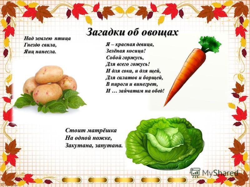Загадки про овощи. 5 загадка для овощей