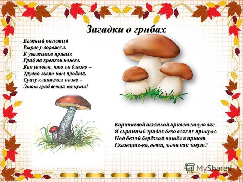 Загадки про грибы для детей. Загадки про грибы. Загадки на тему грибы. Загадки загадки про грибы.