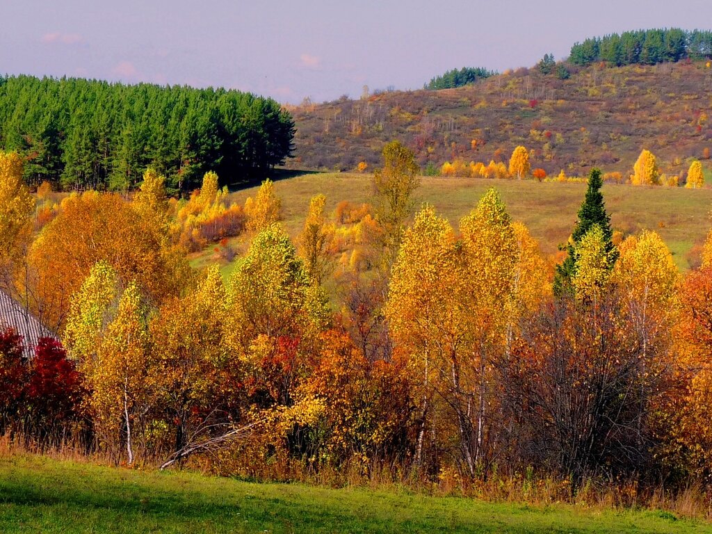 Названия осенних фото. Ах осень Золотая. Ах осень осень Золотая осень. Ах, осень Золотая, Золотая. Ах осень осень.