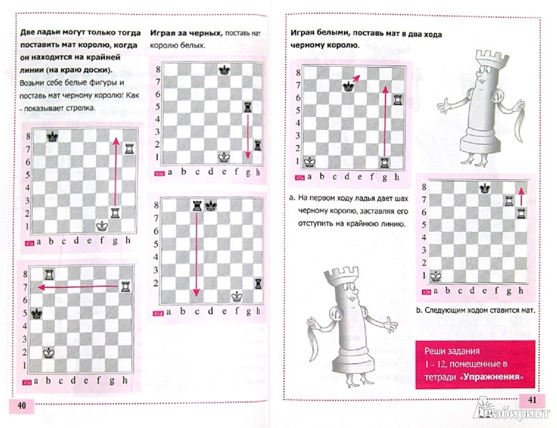 Обучение шахматам для начинающих. Задания по шахматам для детей. Шахматные задания для дошкольников. Шахматные задания для начинающих. Задание по шахматам для начинающих детей.