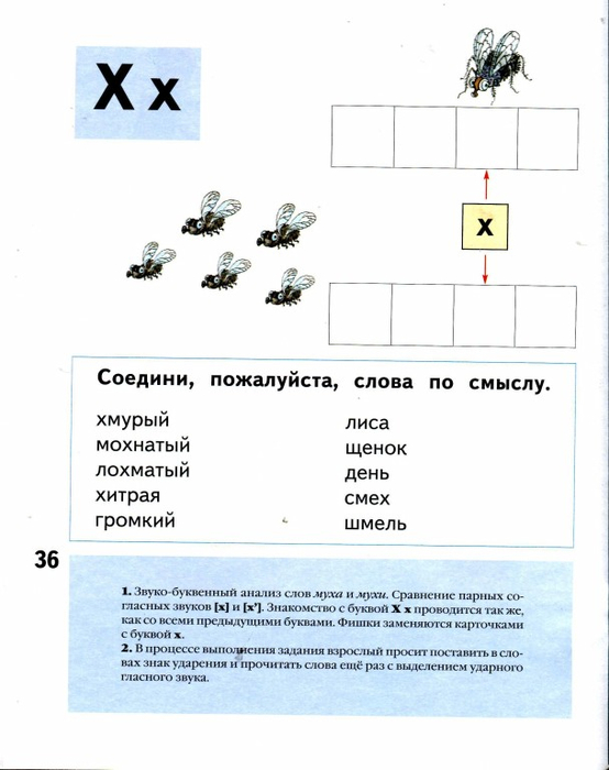 Звуковая схема муха слова