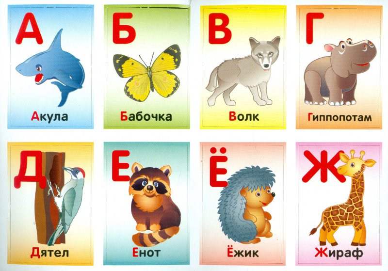 Назови животное на б. Азбука с животными. Животные по алфавиту для детей. Азбука животных для детей. Азбука с животными для малышей.