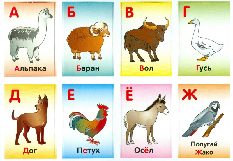 Назови животное на б. Азбука с животными для детей. Карточки для детей. Карточки для детей развивающие. Развивающие карточки с животными для детей.