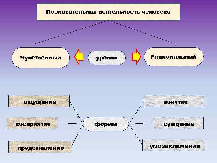 Сложный план деятельность как форма взаимодействия человека с окружающим миром