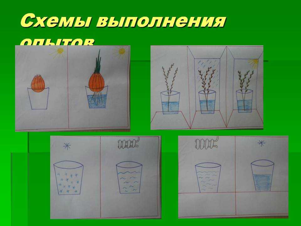 Проект по экспериментированию в старшей группе детского сада краткосрочный