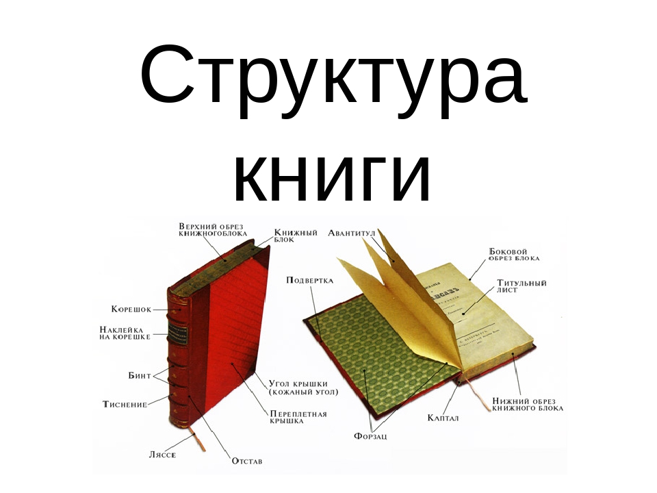 Из чего состоит книга схема