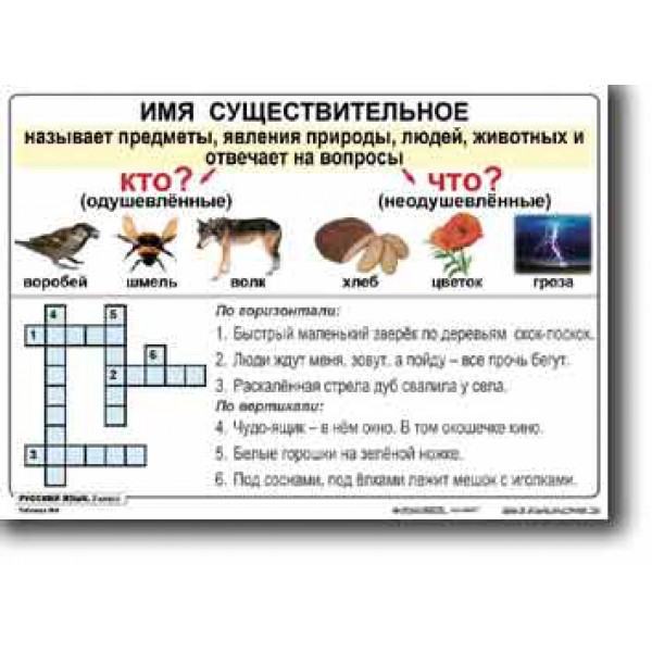 Имя существительное карточки. Имя существительное задания. Имена существительные карточки. Имя существительное 2 класс карточки. Русский язык 2 класс существительное задания.