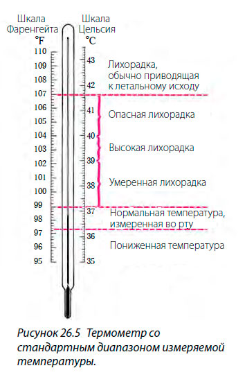 Как мерить температуру градусником