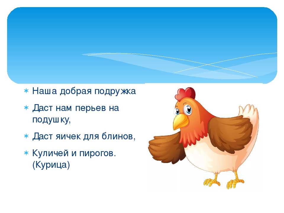 Кура 5 6. Загадка про курицу. Загадки про домашних птиц для детей. Загадка про курицу для детей. Стихотворение про кур.