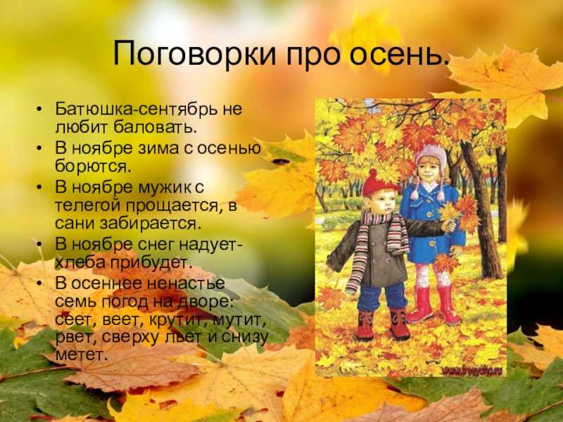 Стихотворение сентябрь 4. Поговорки про осень. Пословицы про осень. Поговорки об осени для дошкольников. Пословицы и поговорки про осень.