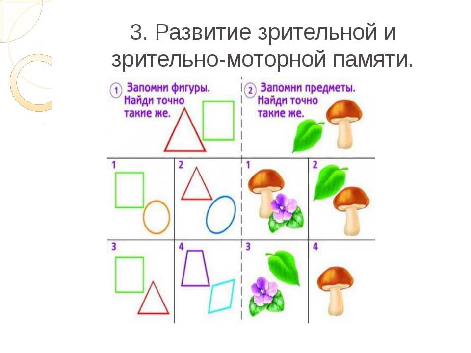 Развитие памяти у детей дошкольного возраста презентация