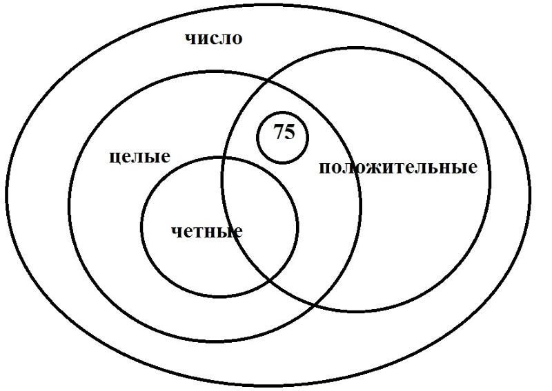 Отношения между понятиями с помощью круговых схем. Логика круги Эйлера логика. Круговые схемы Эйлера.