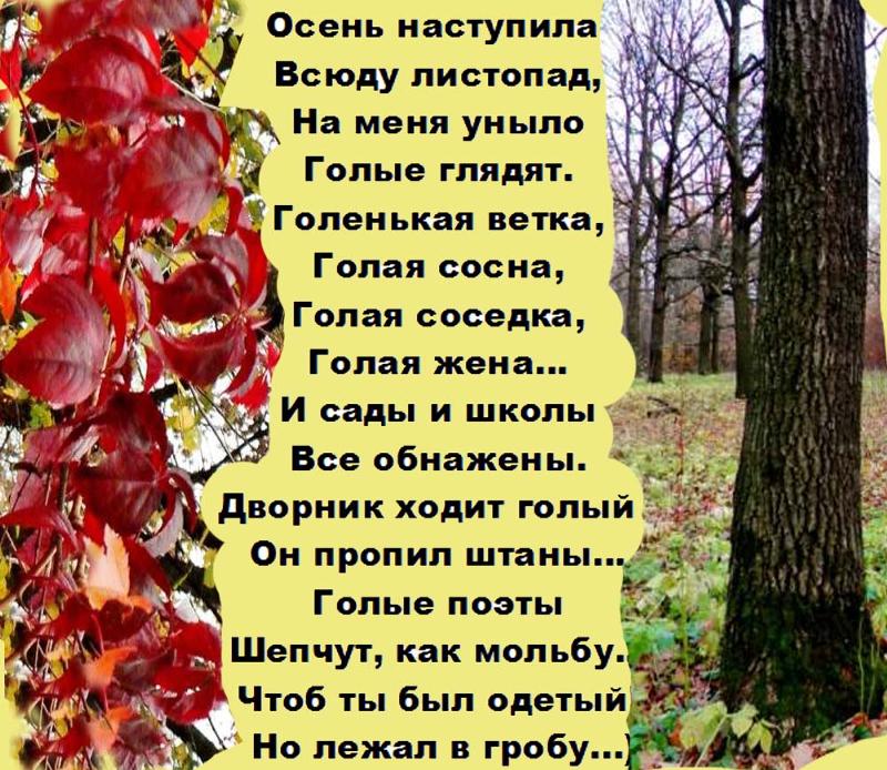 Осень настала. Осень наступила. Осень наступила всюду листопад на меня уныло. Стихотворение вот и осень наступила. Осень наступила всюду листопад на меня уныло голые глядят.