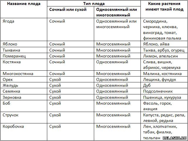 Заполните таблицу по предложенному образцу приведите по два три примера животных с различной