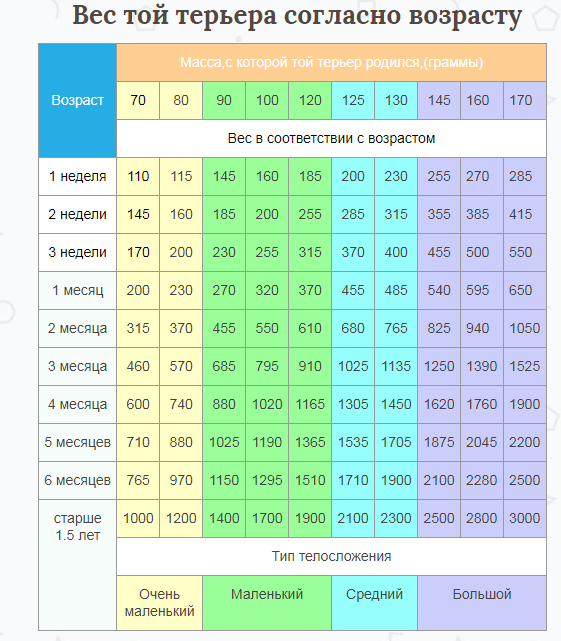 Вес ребенка в 5. Вес щенка той терьера по месяцам таблица. Таблица мини той терьера в 2 месяца. Нормальный вес у мини той терьера в 9 месяцев. Вес той терьера в 3 месяца.