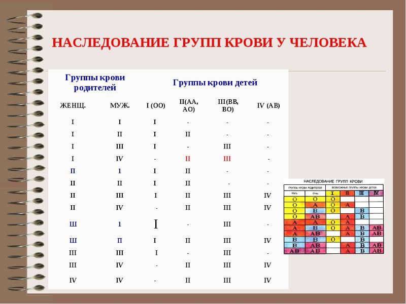 Схема группа крови родителей и ребенка