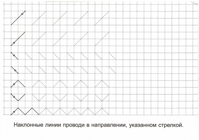 Тетрадь в клетку онлайн писать и рисовать