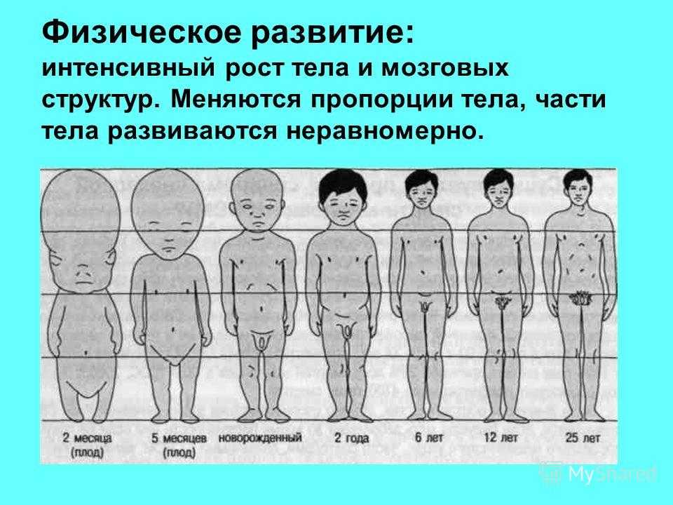 Со скольки дети начинают рисовать