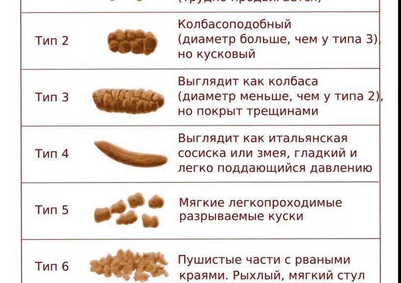 Запор у грудничка. Какашки у 6 месячного грудничка. Стул у ребенка после прикорма у ребенка 4 месяца. Кал ребёнка в 6 месяцев с прикормом. Стул в 7 месяцев при введении прикорма.